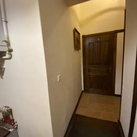 Apartment в центрі на вулиці лесі українка 19 *