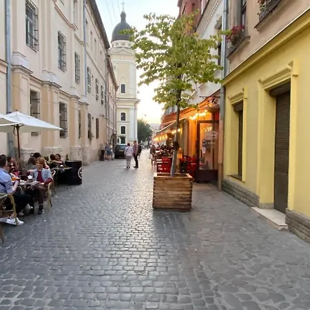 Apartment в центрі на вулиці лесі українка 19 *