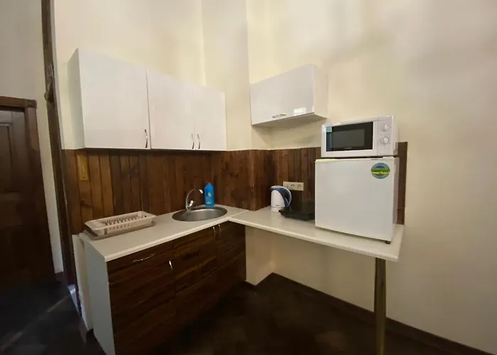 в центрі на вулиці лесі українка 19 Apartamento *