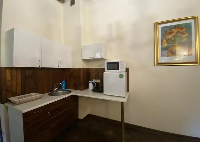 דירה в центрі на вулиці лесі українка 19 *